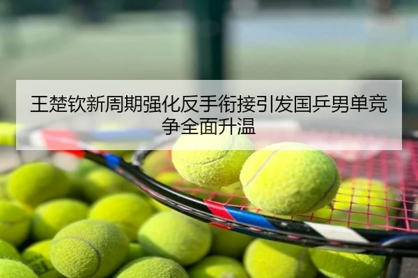 王楚钦新周期强化反手衔接引发国乒男单竞争全面升温