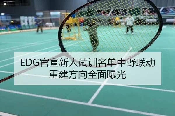 EDG官宣新人试训名单中野联动重建方向全面曝光